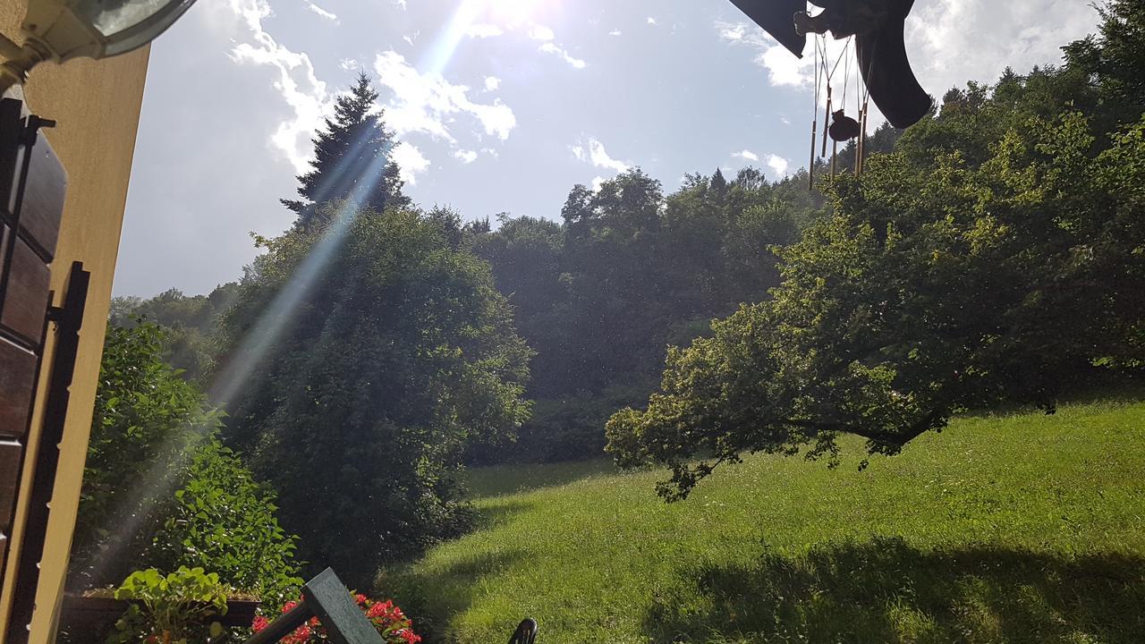 Maso Weiss Bed & Breakfast Bieno  Екстериор снимка